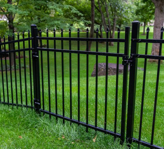 Ornamental Steel Fence