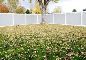 Privacy Fence Ideas (large)