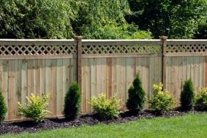 Privacy Fence