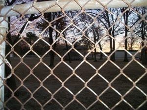 Fence Types That Are Easy To Maintain