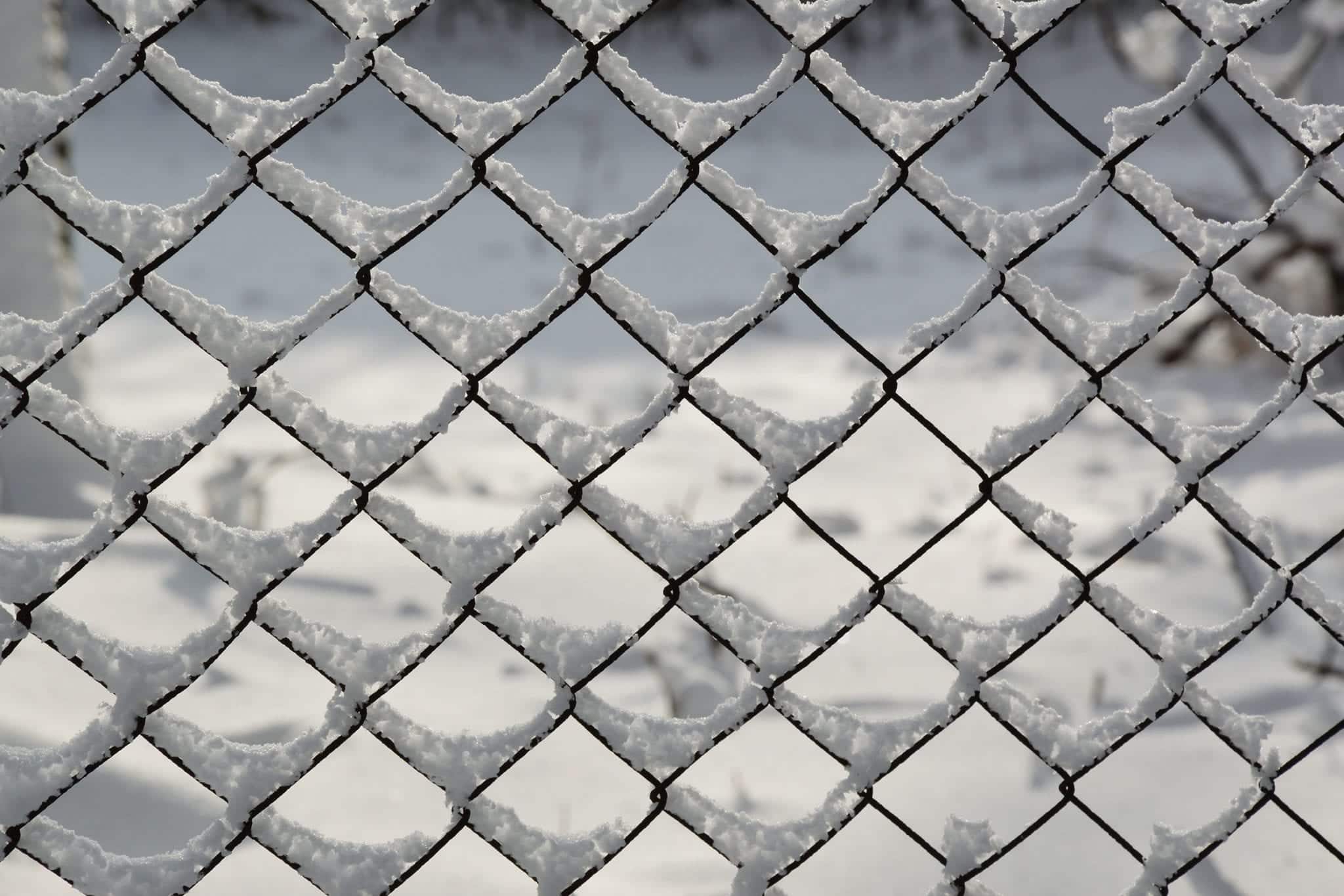 Chain Link Fence Winter