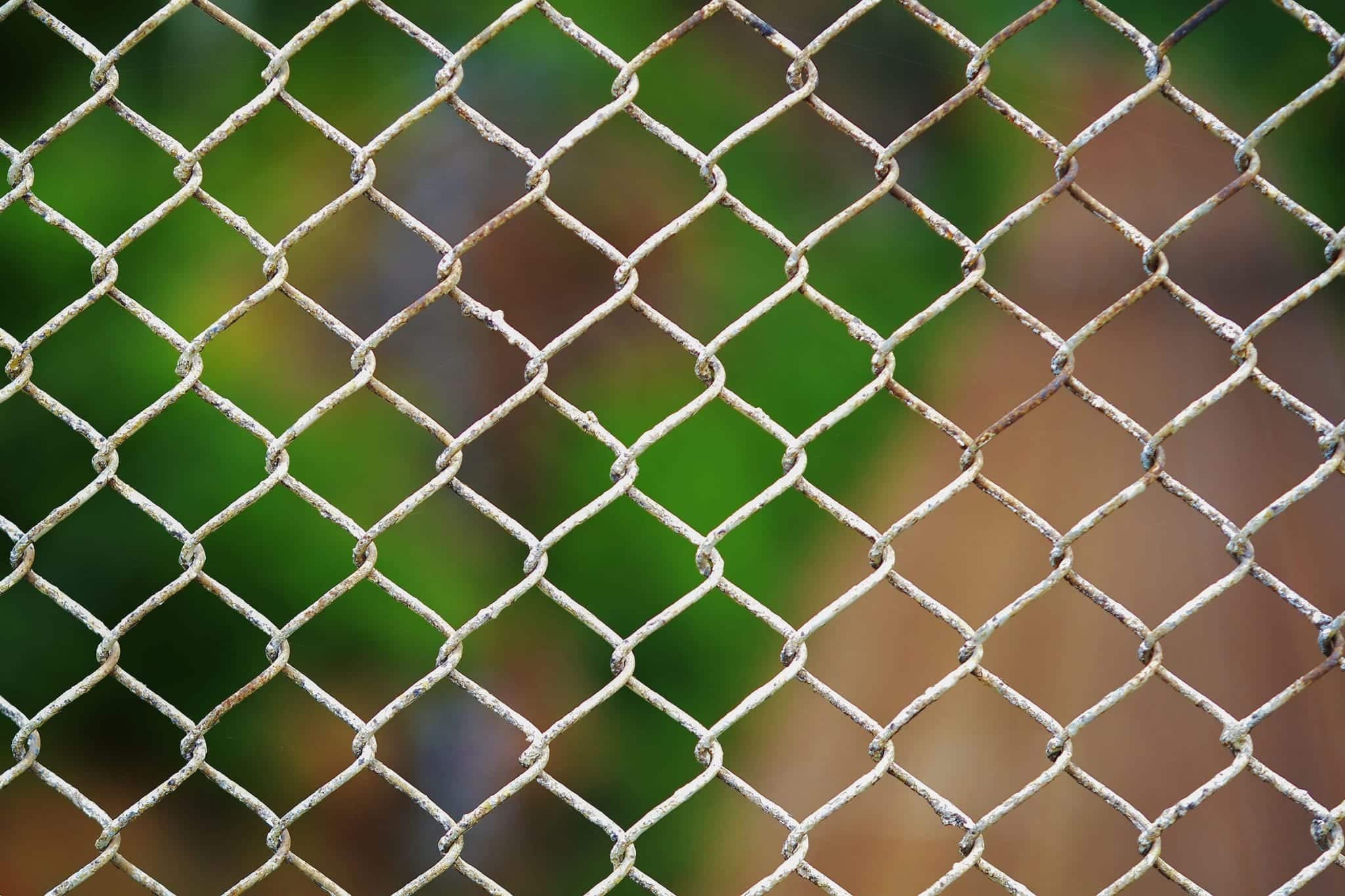 How to Clean and Maintain a Chain Link Fence