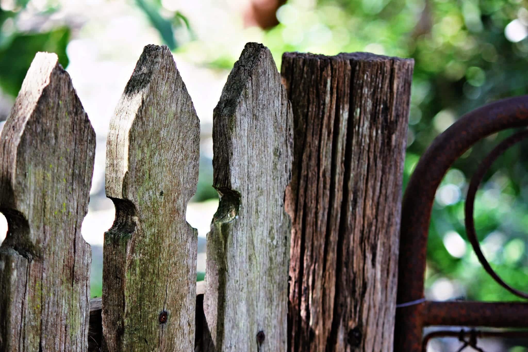 Fence Repairs