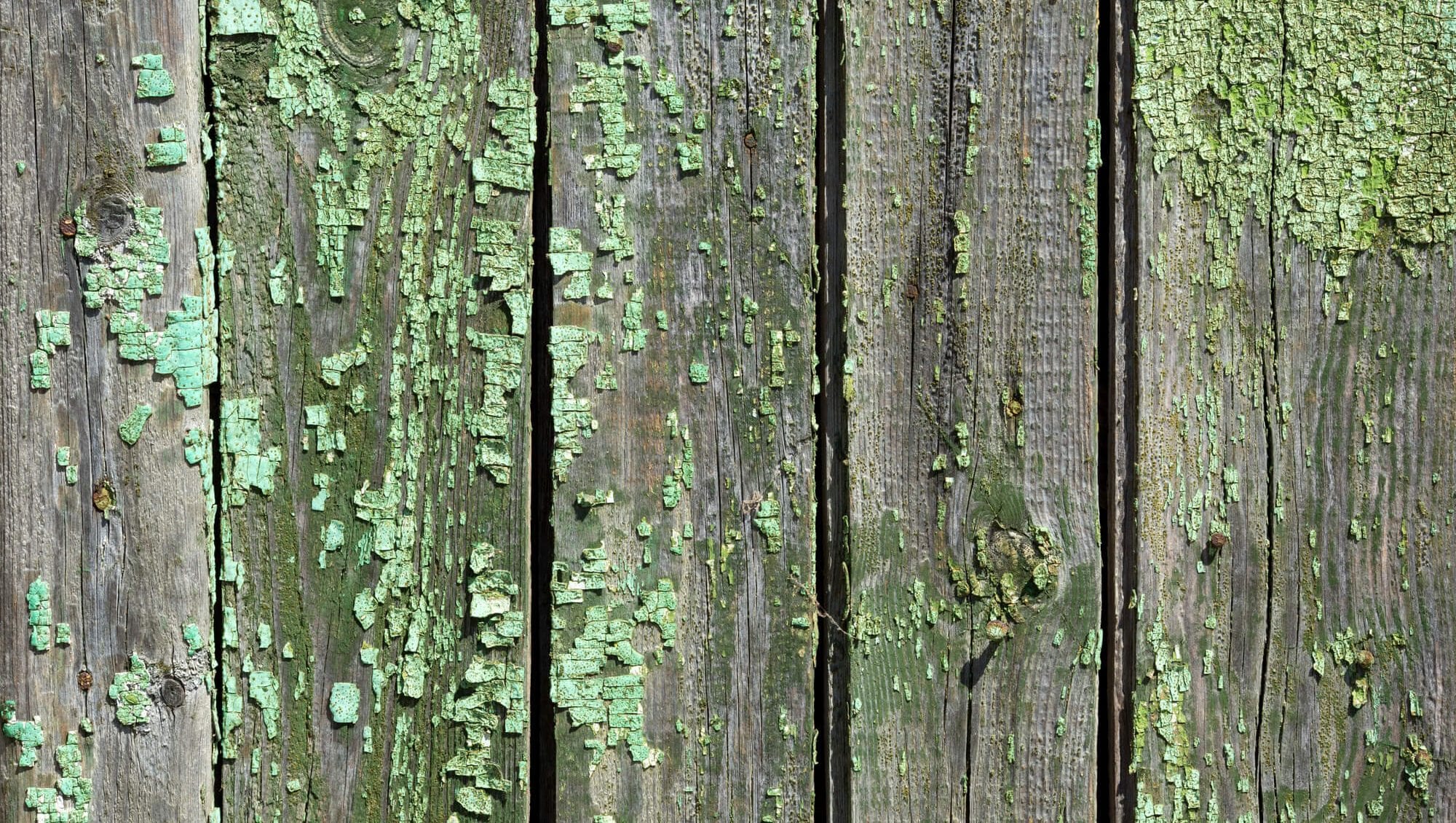 Green Isn't Always Good When it Comes to Fencing - Northland Fence