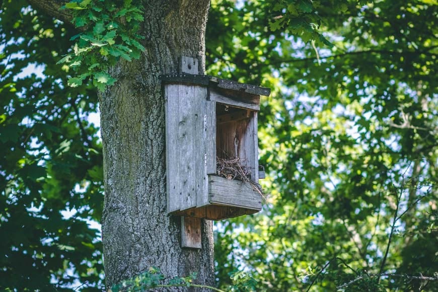 Northland Birdhouse