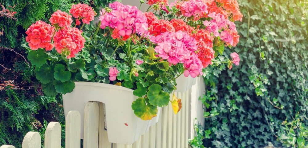 Hanging Planters Fence Decoration