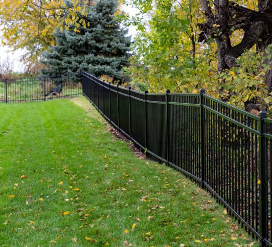 Ornamental Fence Company in Little Canada MN