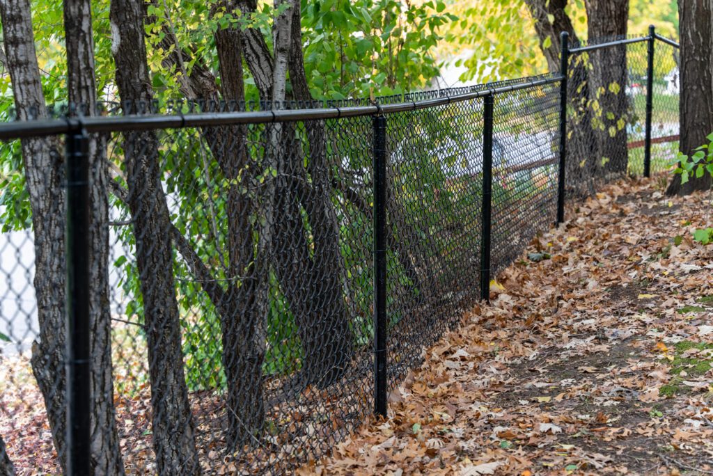 Black Chain Link Fence