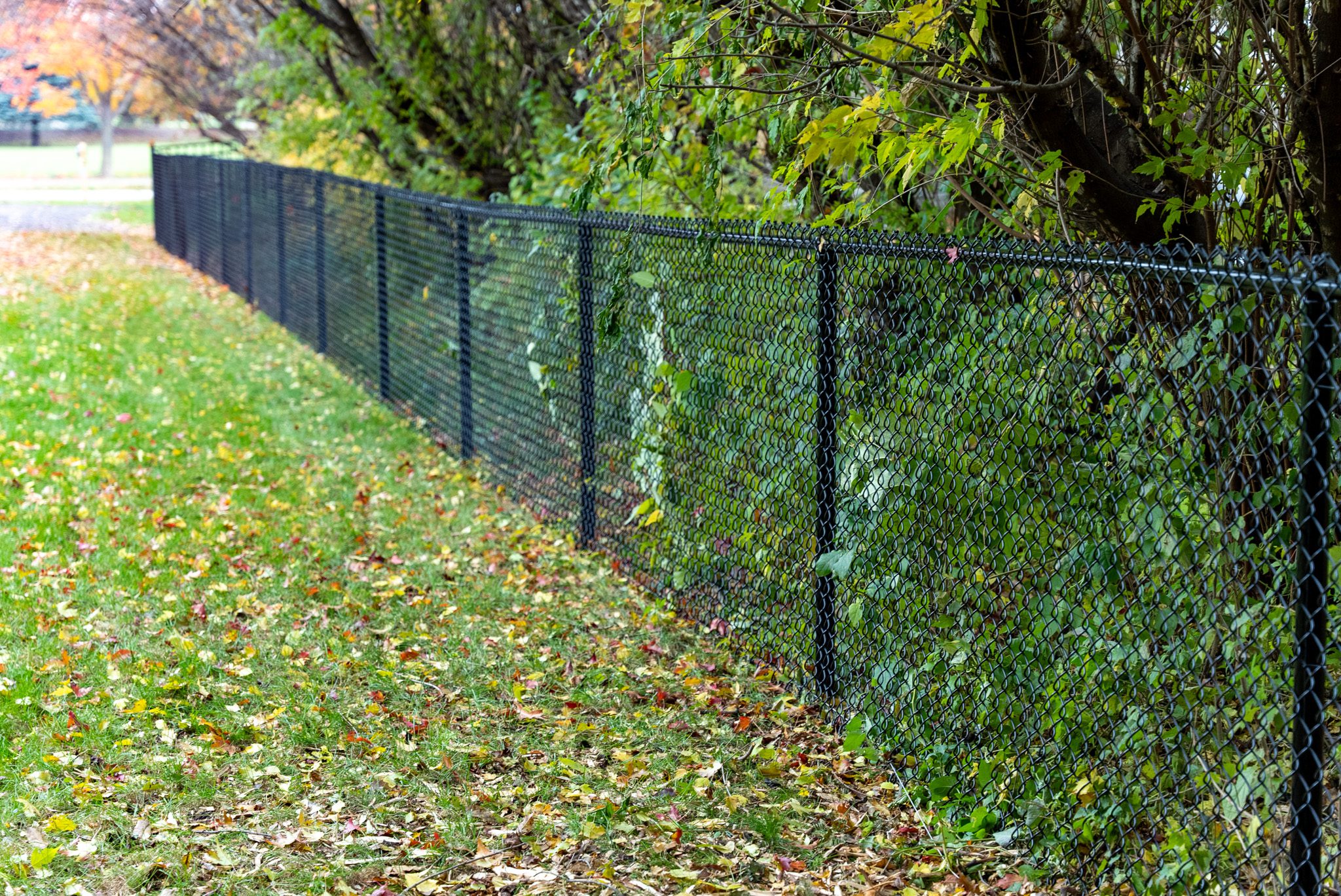 chain link Fence Installation Contractors minneapolis, MN