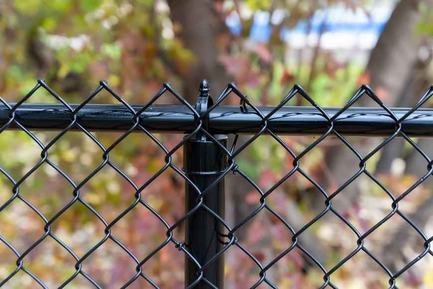 7 Inexpensive Ways to Cover a Chain Link Fence