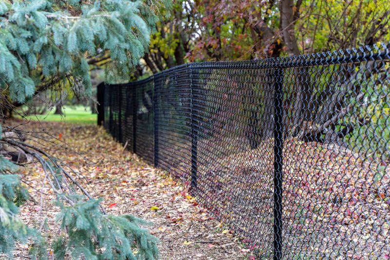 Chain Link Fence Installation Contractors near Maple Grove mn